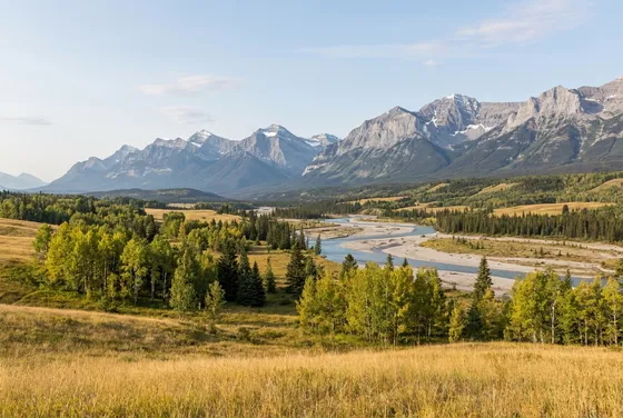 Rolling foothill grassland and aspen groves above a braided river on pale gravel bars, with grey limestone mountains behind in morning light